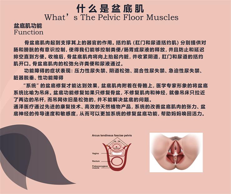 盆底肌修復(fù)儀器，能用于骨盆修復(fù)嗎？