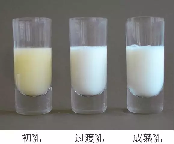 母乳營養(yǎng)成分檢測，母乳分析儀的好處您知多少？