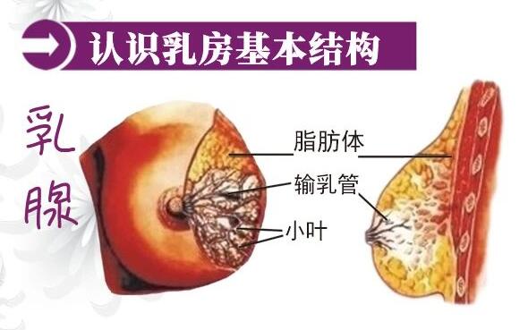 很多產(chǎn)后修復(fù)中心不知道生物反饋治療儀是什么？