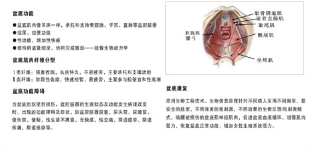 產(chǎn)后恢復(fù)中心加盟，做月子不再是一蹴而就