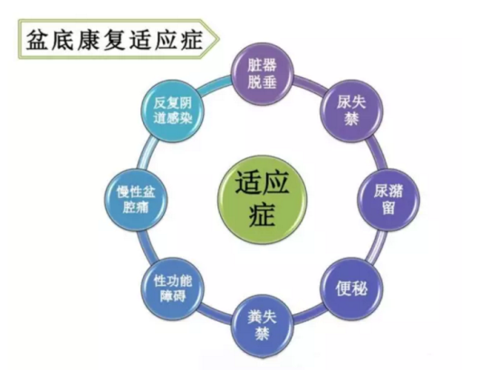 都在想盆底康復治療儀品牌，為何別人看的是盆底康復治療儀的功效與作用