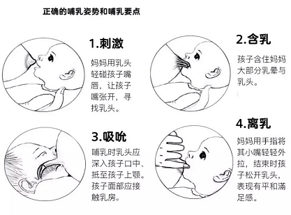 母乳檢測因人而異，但母乳分析儀產(chǎn)后修復(fù)中心必須具備