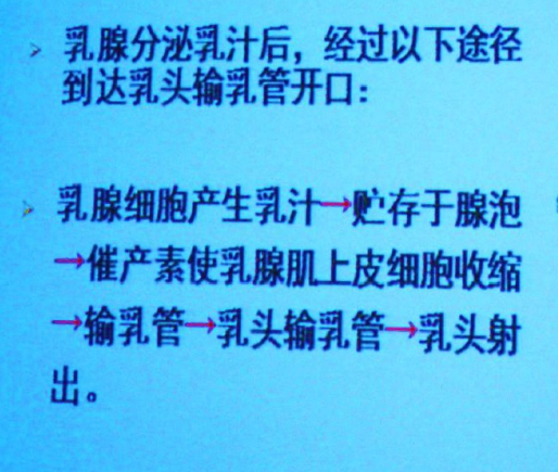 影響泌乳的因素有哪些，母乳喂養(yǎng)得了解