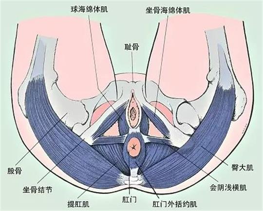 產(chǎn)康門店創(chuàng)業(yè)，開展什么產(chǎn)康項(xiàng)目合適呢？