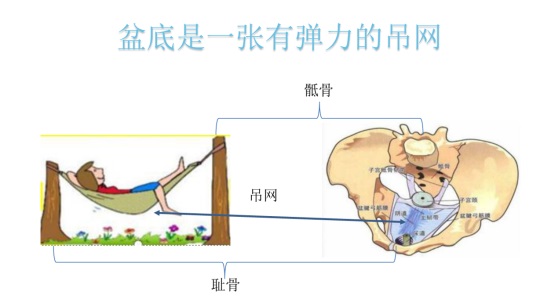 女性盆底康復要及時，否則抱憾終身，婦科盆底康復治療儀幫到您