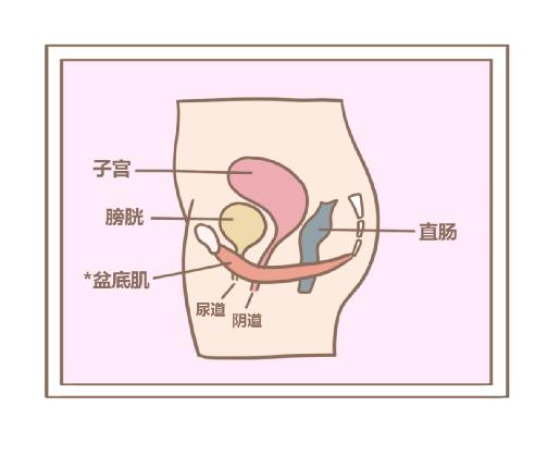 產(chǎn)后康復(fù)治療儀哪個(gè)品牌質(zhì)量好？