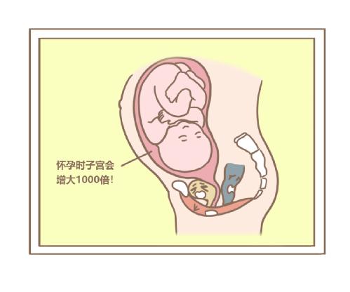 產(chǎn)后肥胖能用盆底肌修復(fù)儀器治療嗎？