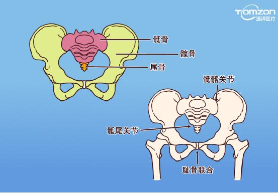 盆底肌康復儀能不能呵護健康？
