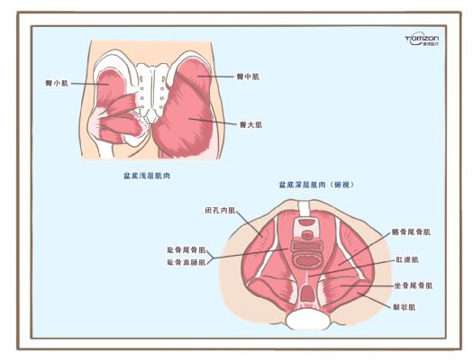 盆底康復治療儀可以緩解絕經(jīng)后出現(xiàn)的癥狀嗎？